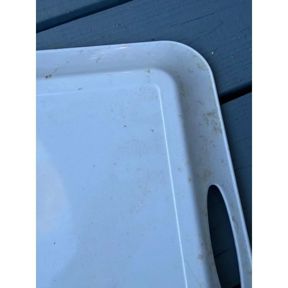 Evolution Sakura sailboat plastic serving dish